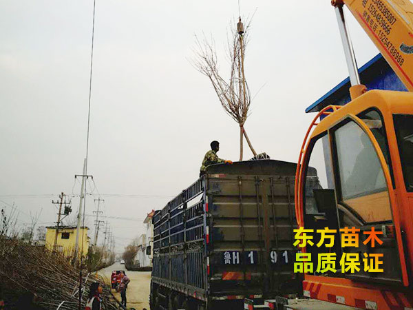 裝車現(xiàn)場(chǎng)